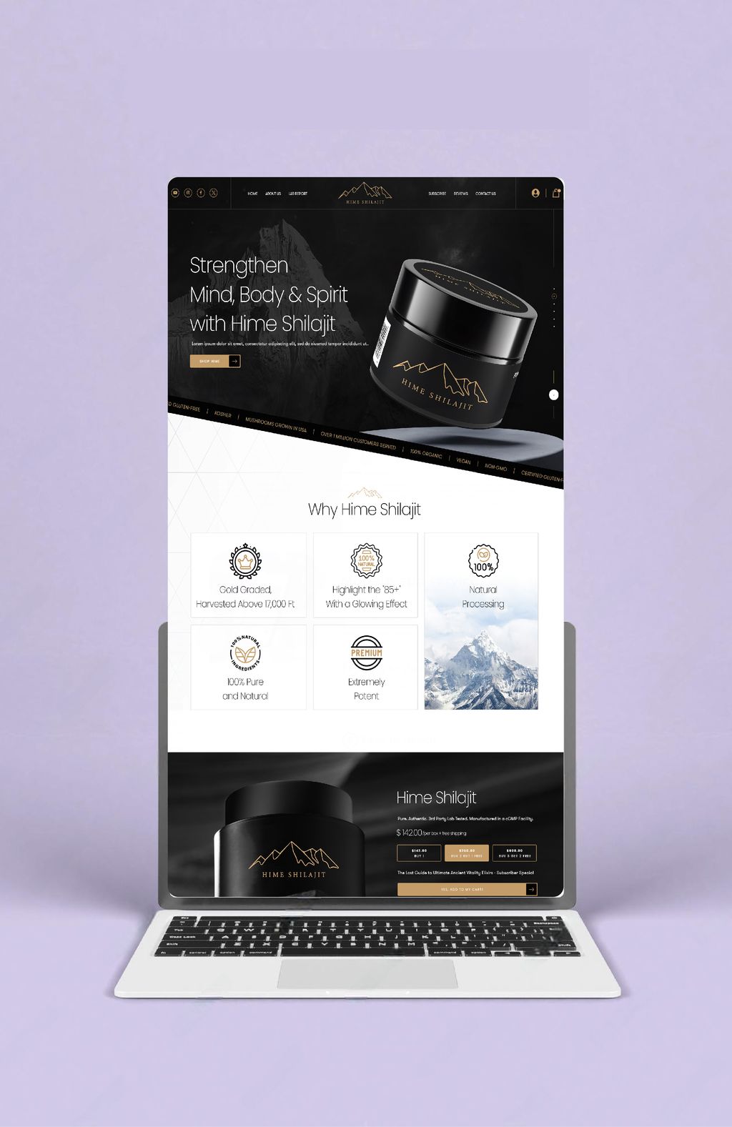 Projects and media