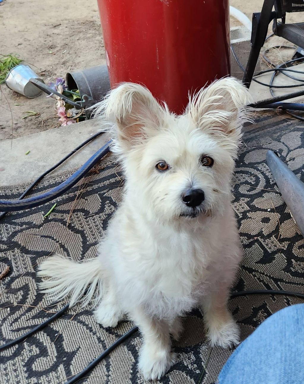 Ricky (Bobby)