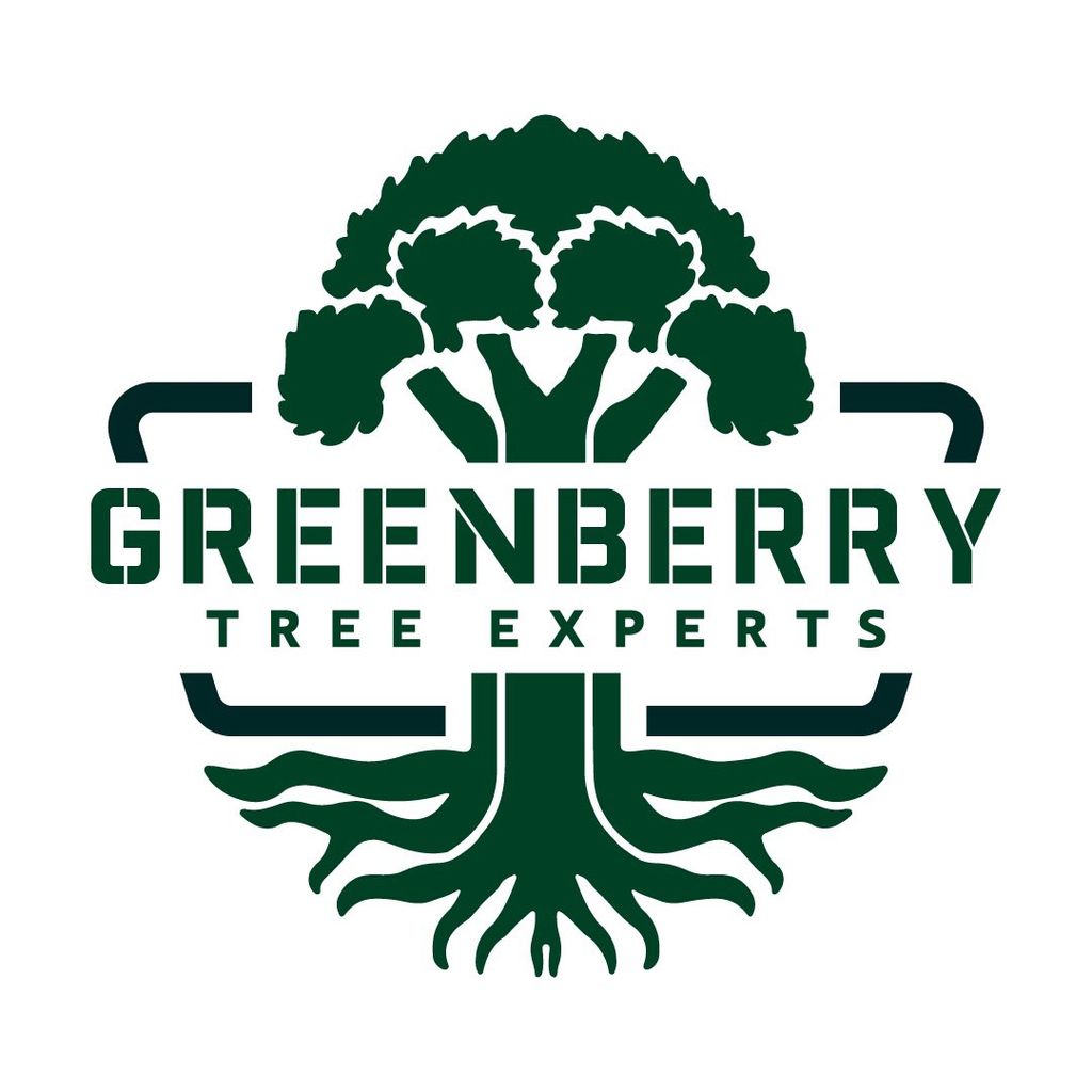 Greenberry Tree Experts