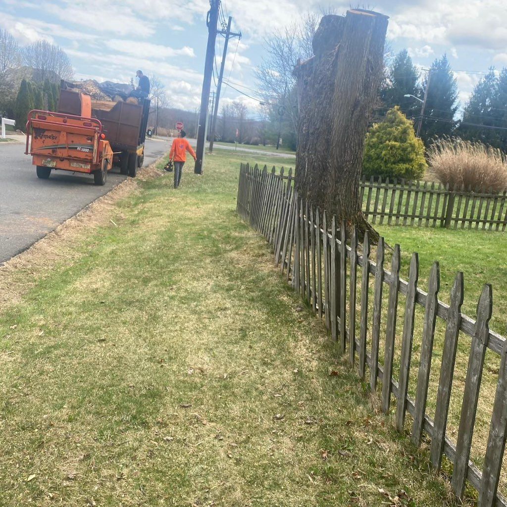 Los gallos tree service