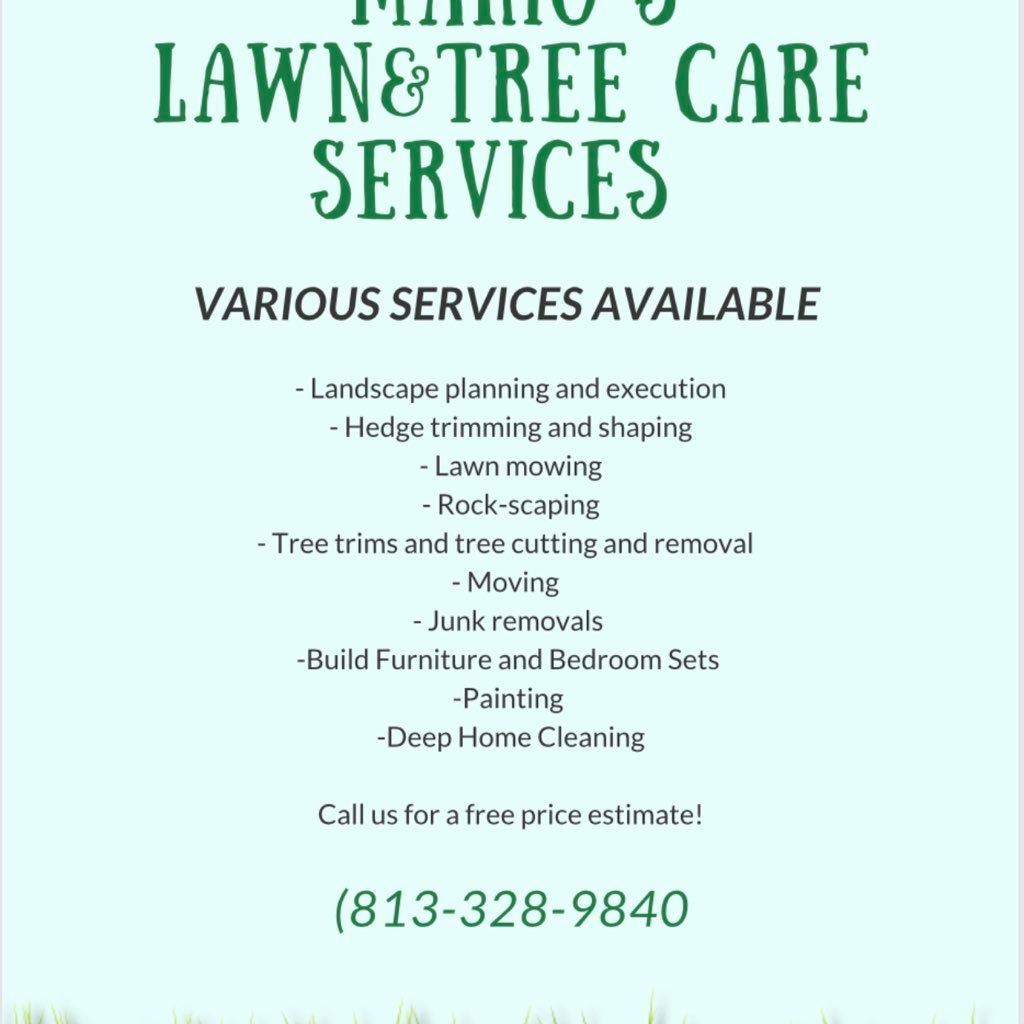Mario’s lawn care