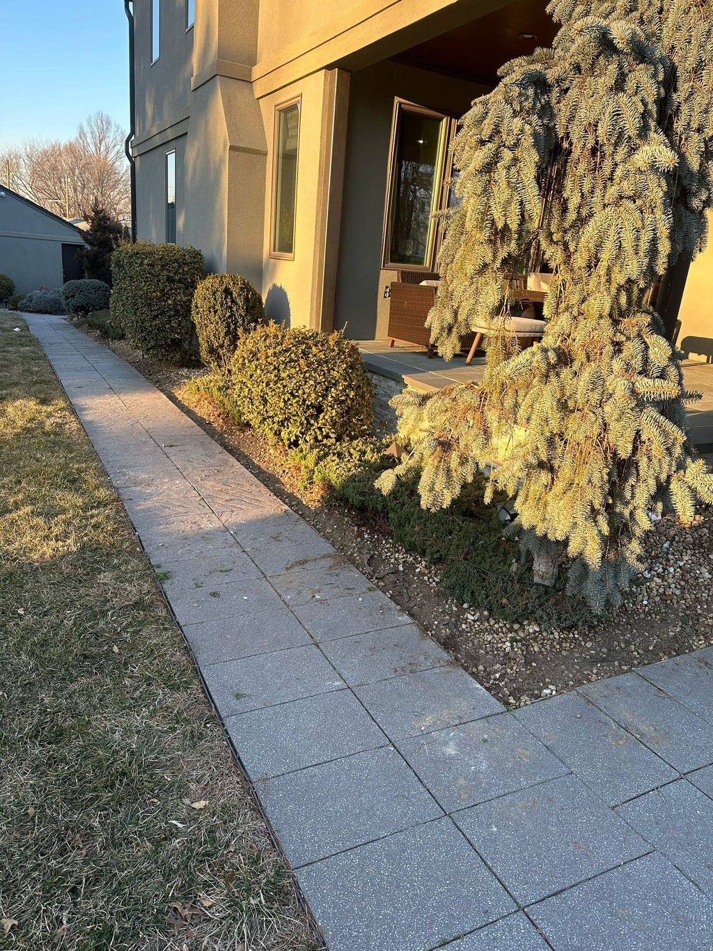 trim all clean ups and made walk way