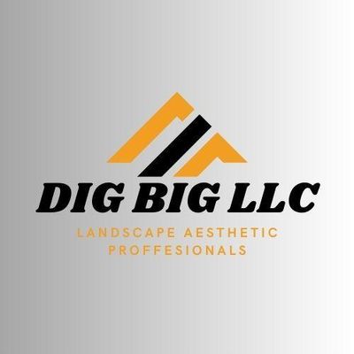 Avatar for Dig Big LLC
