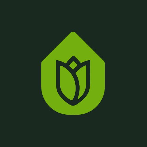 Valyn Cleaning Services