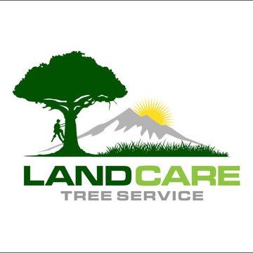 Golden Sun Tree Removal/Landscape/Junk Removal