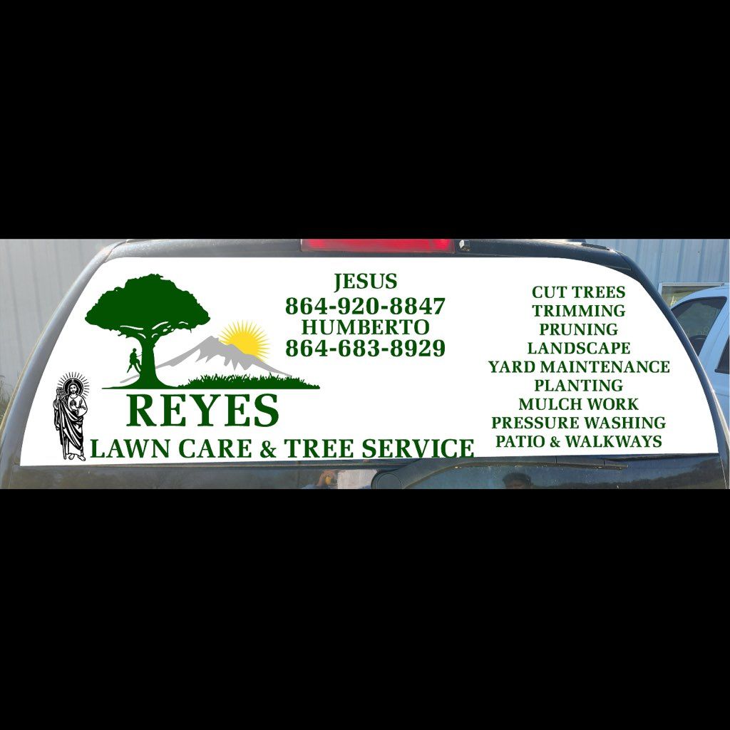Reyes lawn care & tree service