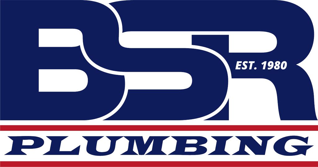 Blount's Speedy Rooter