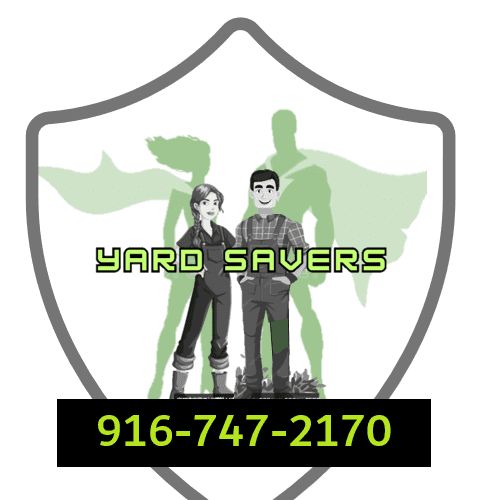 Yard Savers! Lawn and Yard Clean Up & Maintenance