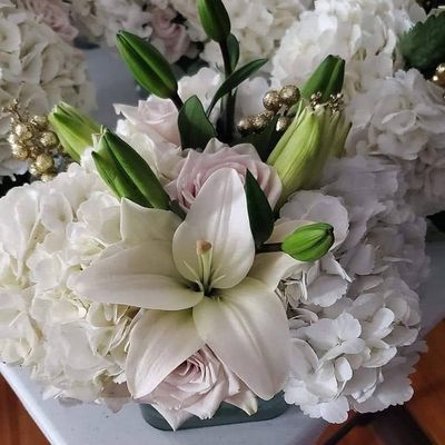 Avatar for Dama Flowers