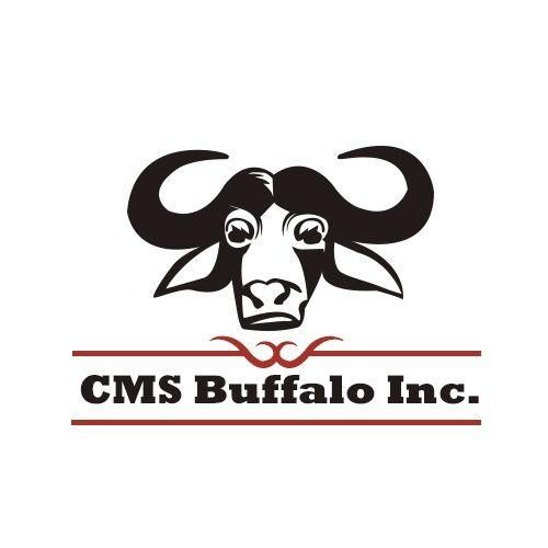 CMS Buffalo Inc
