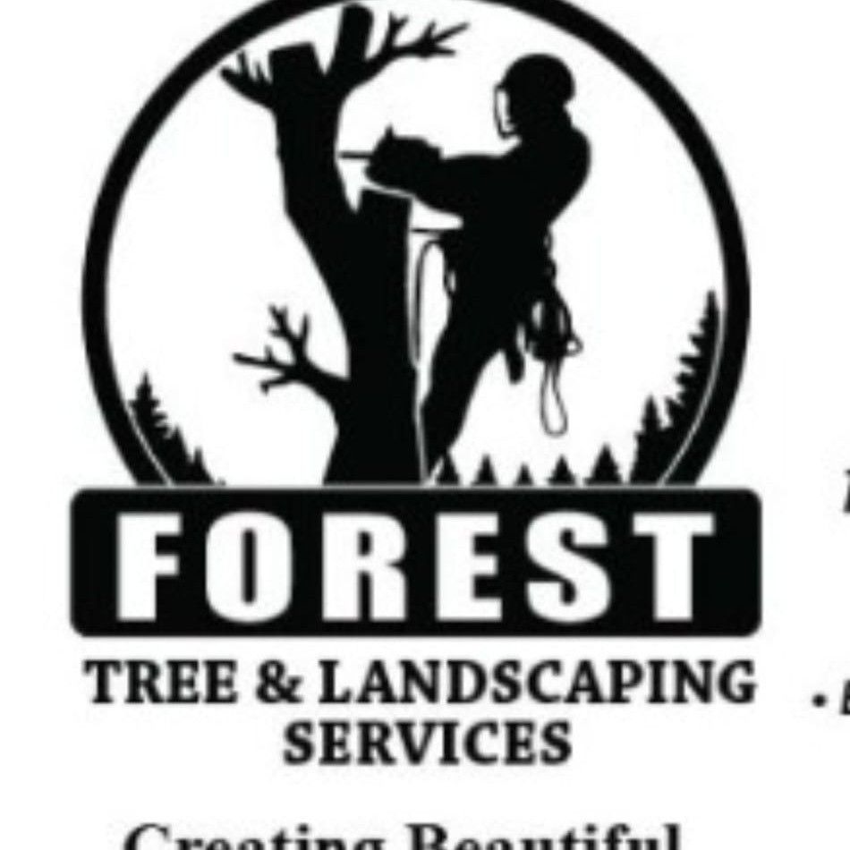 Forest Tree and Landscaping Services