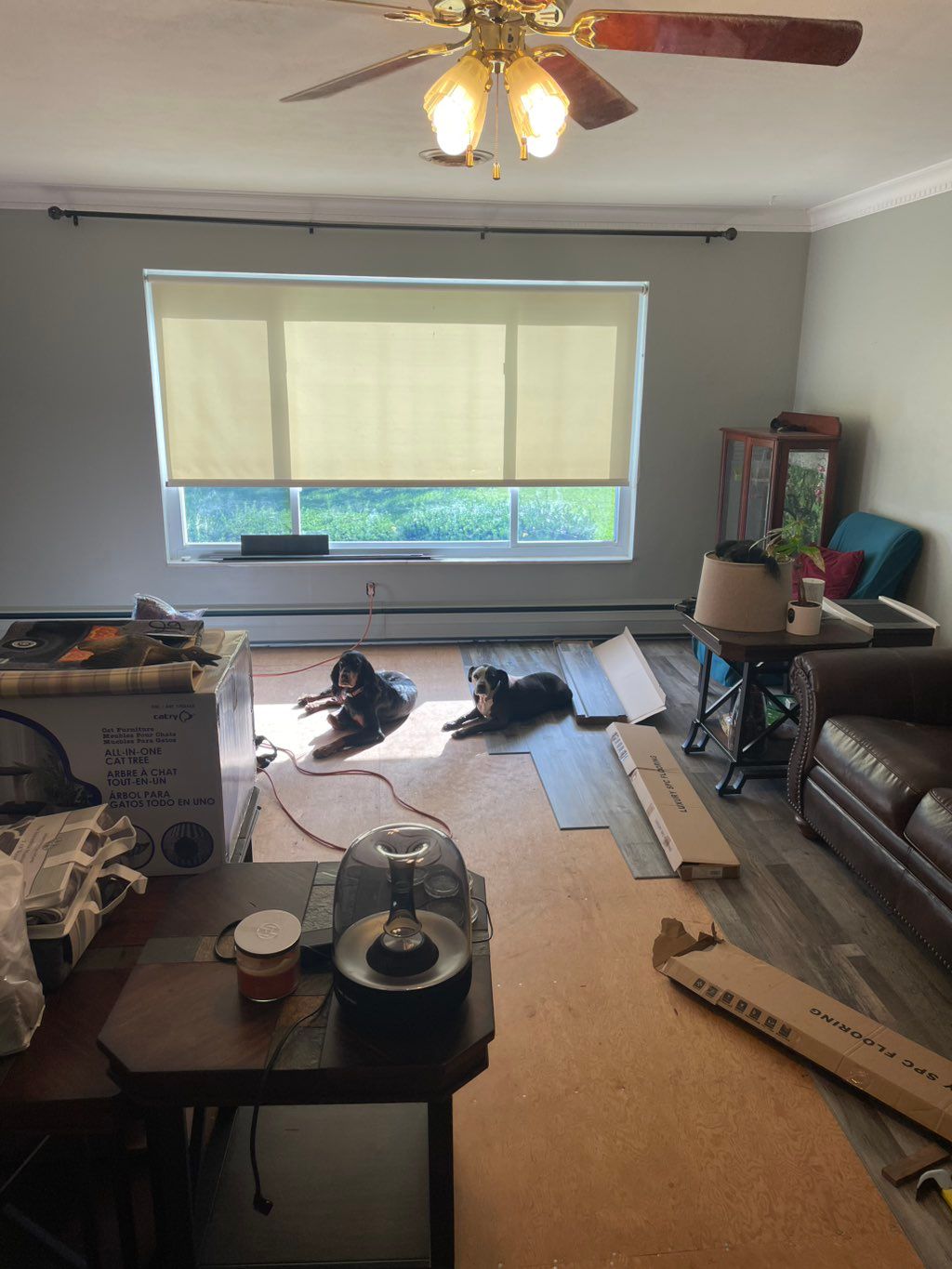 Projects and media