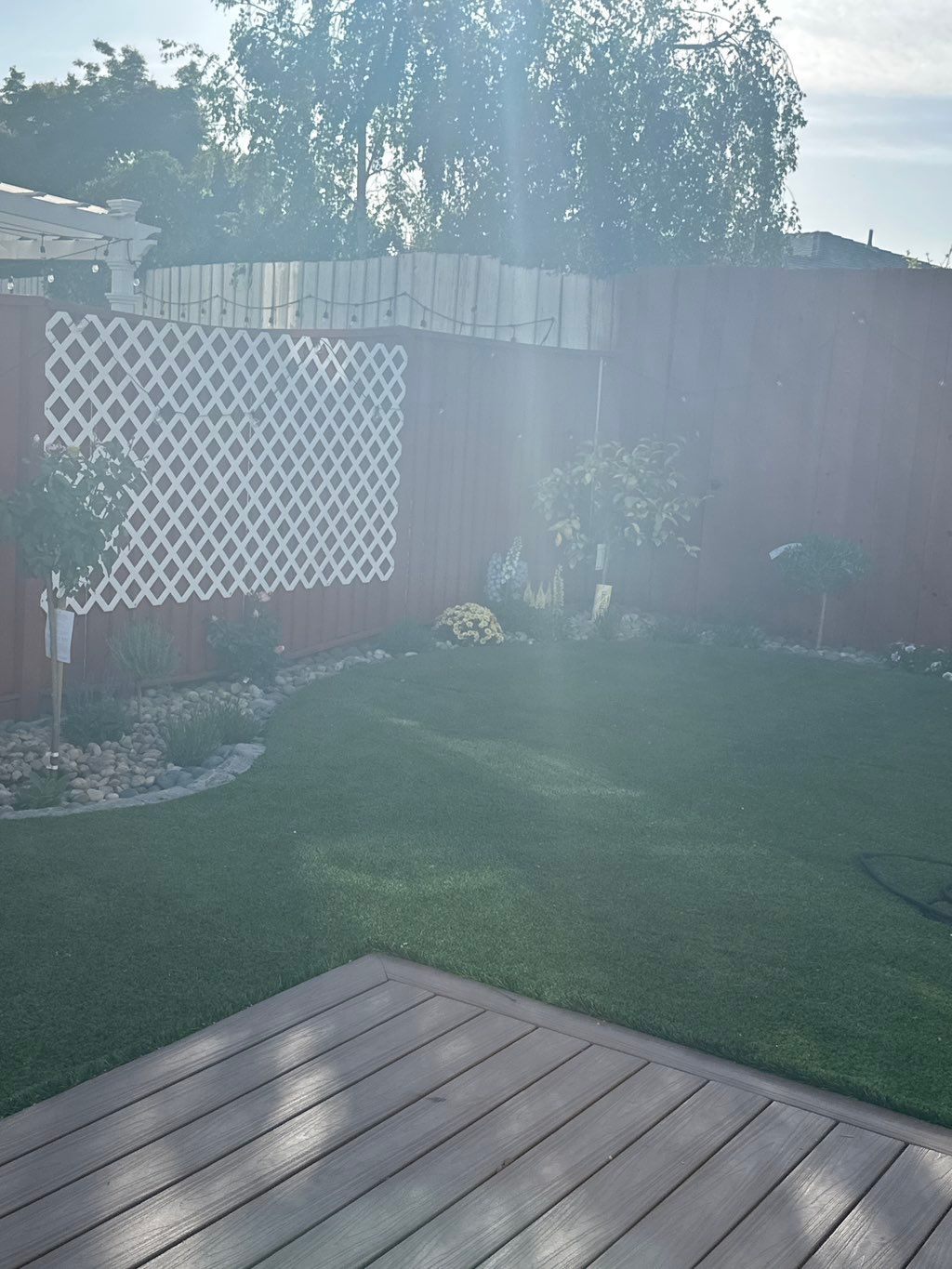 Customer photos