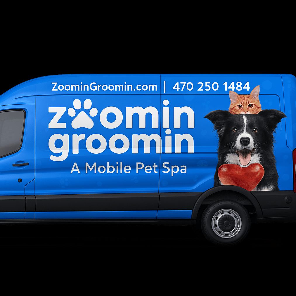Zoomin Groomin - Duluth