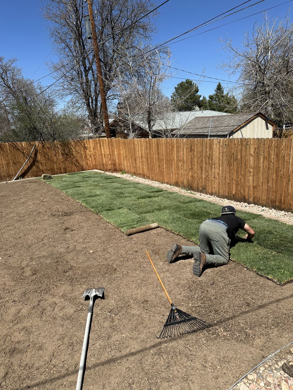 Projects and media