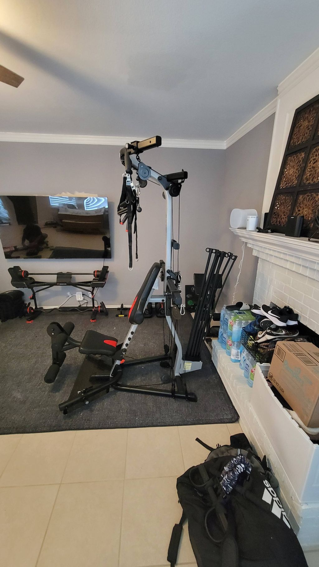 Projects and media