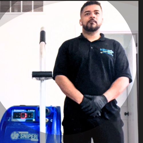 Silverio Carpet and Upholstery Cleaning