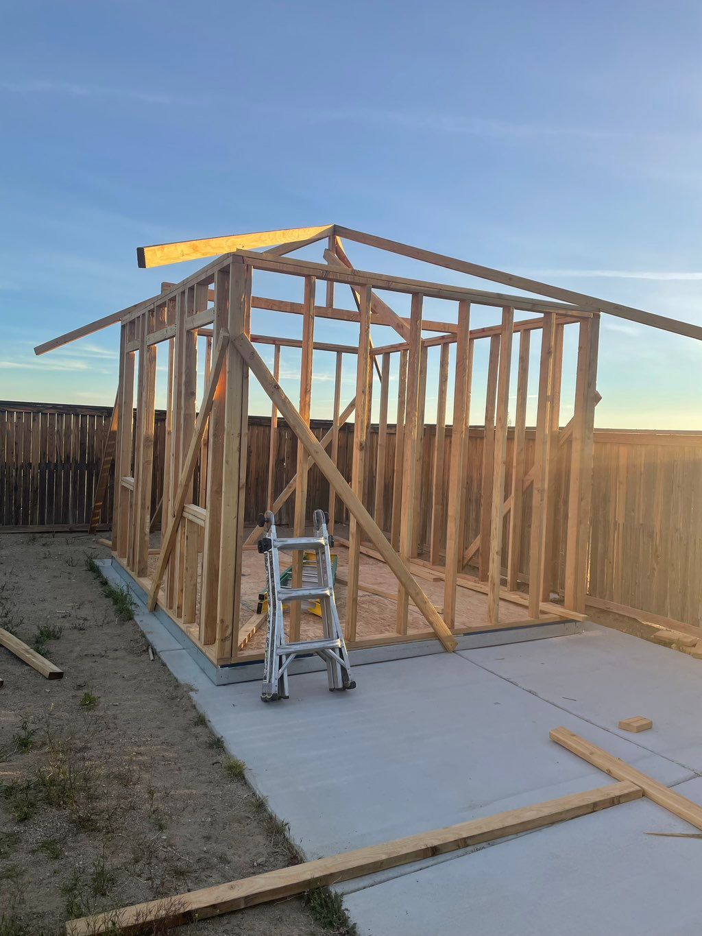 Projects and media