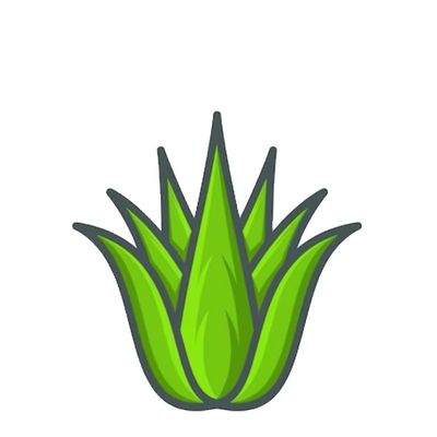 Avatar for Aloe Vera Lawn Care Inc