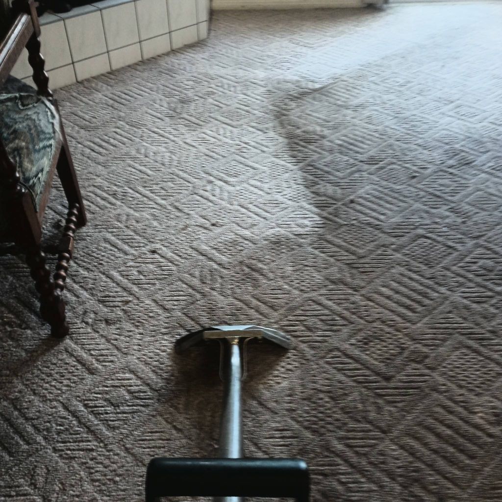 Affordable carpet and upholstery cleaning