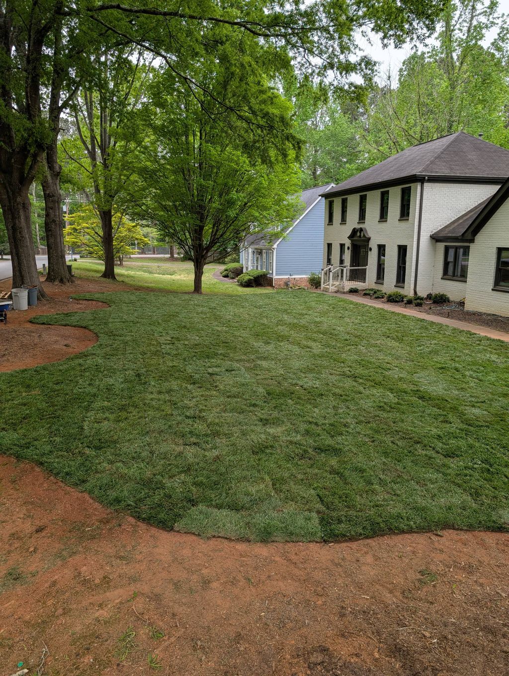After Fescue installation. 