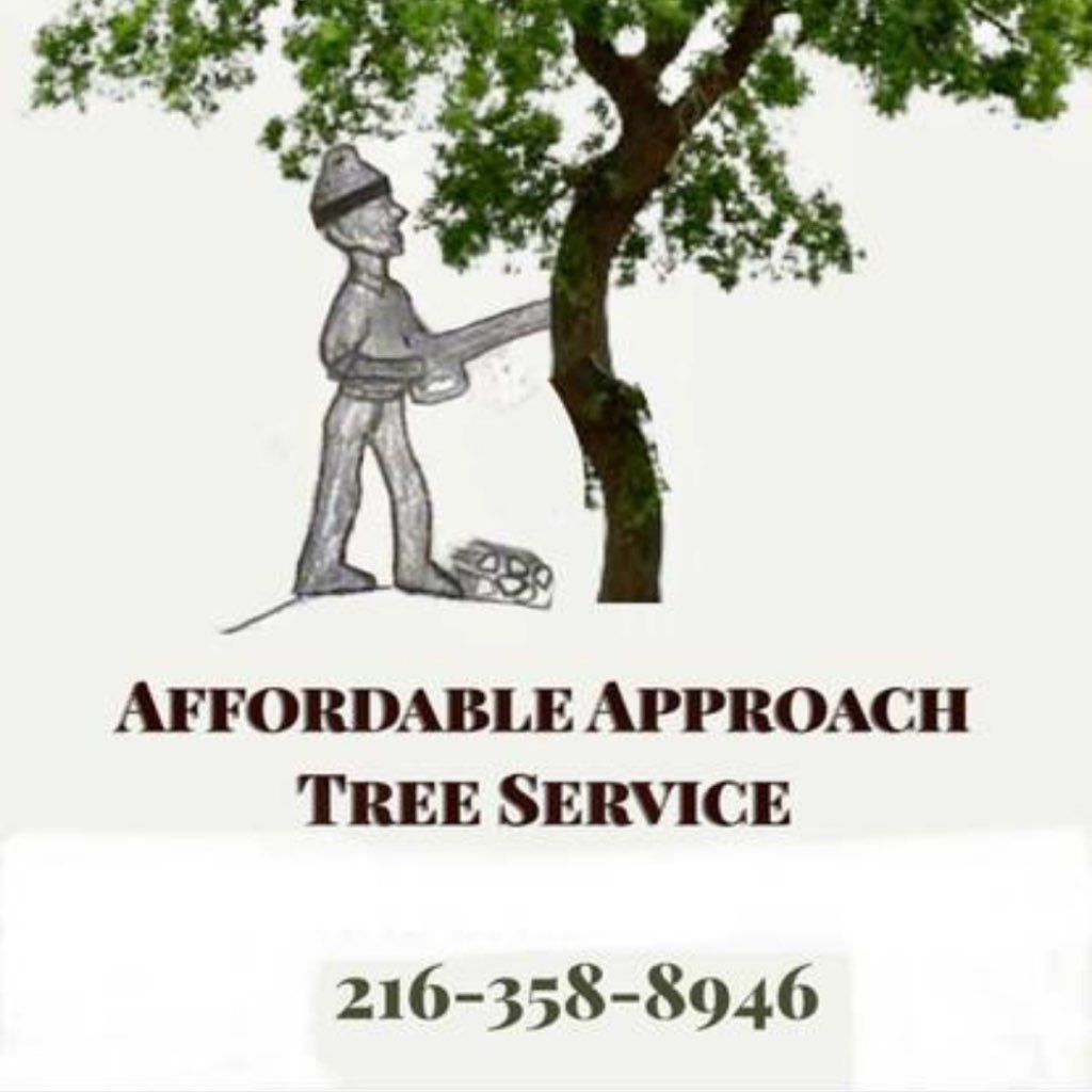 AA Tree Removal