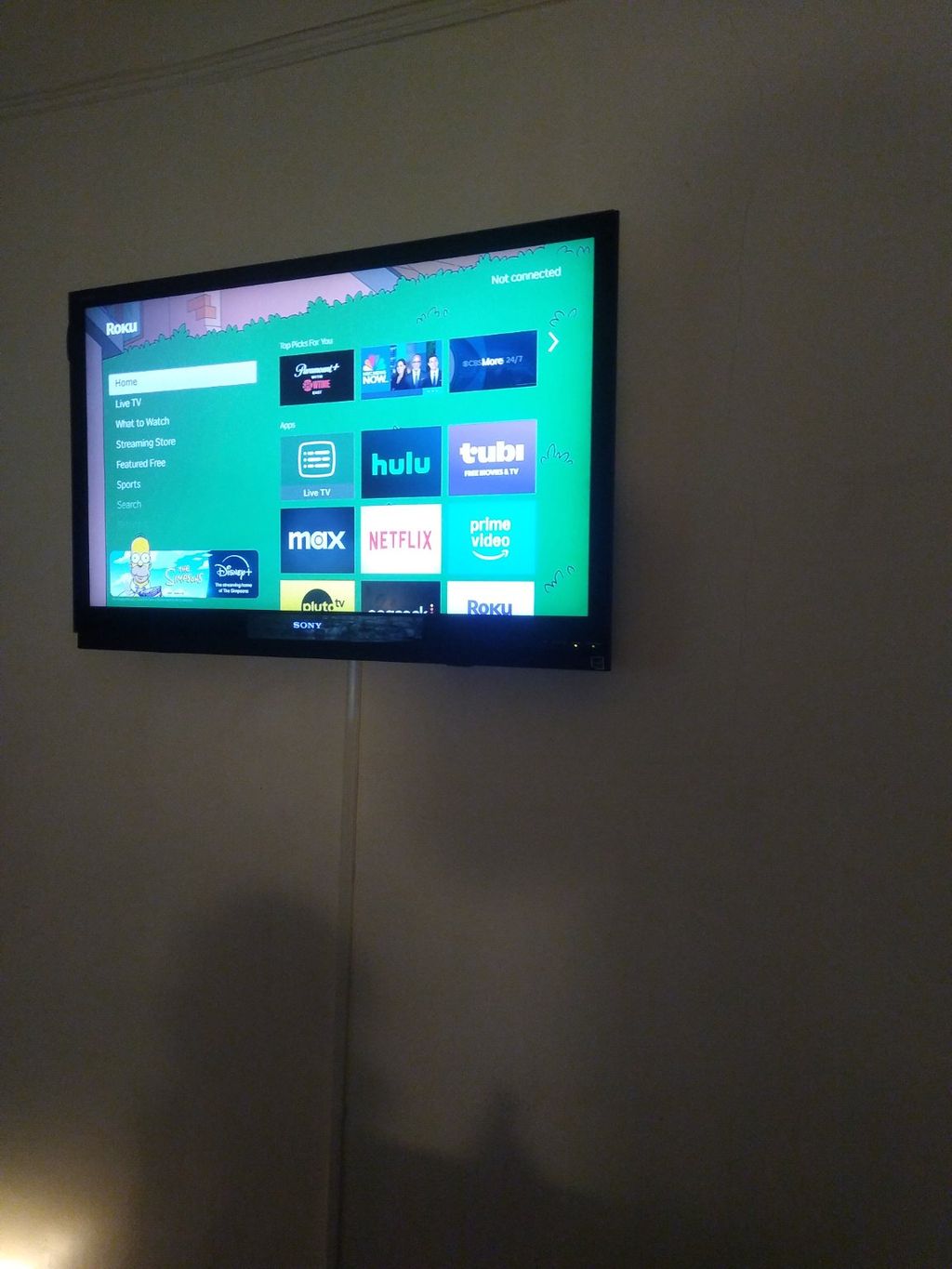 Projects and media
