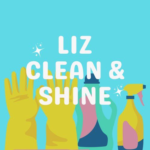 Liz clean & shine
