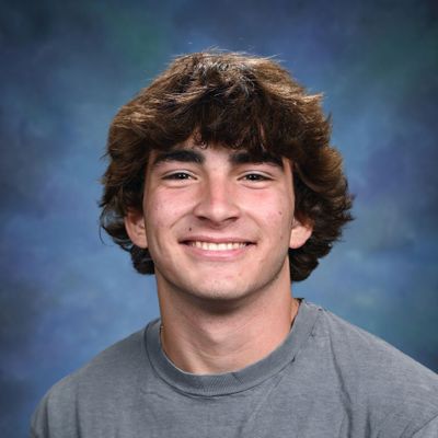 Avatar for True Turf Landscaping