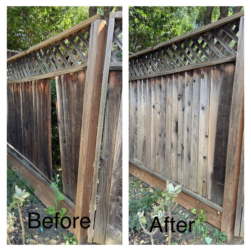 Customer photos