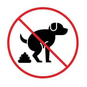 Avatar for Poop Who?