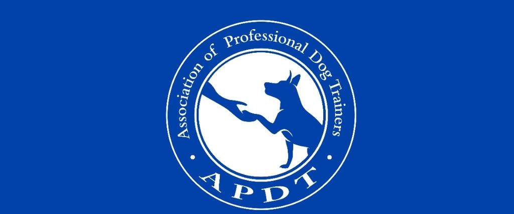 Professional Member of APDT