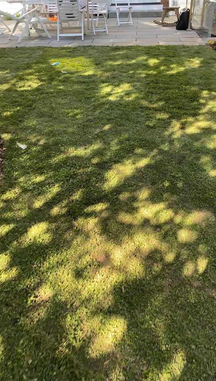 We also install Micro Clover sod!