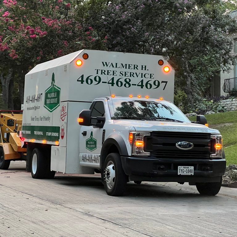 WALMER.H tree service