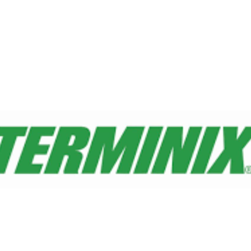 Terminix pest