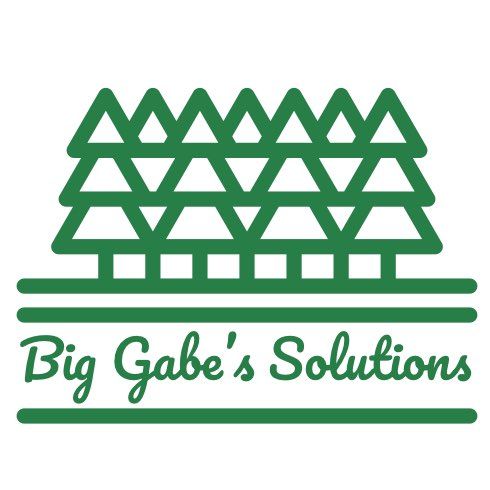 Big Gabe’s Solutions