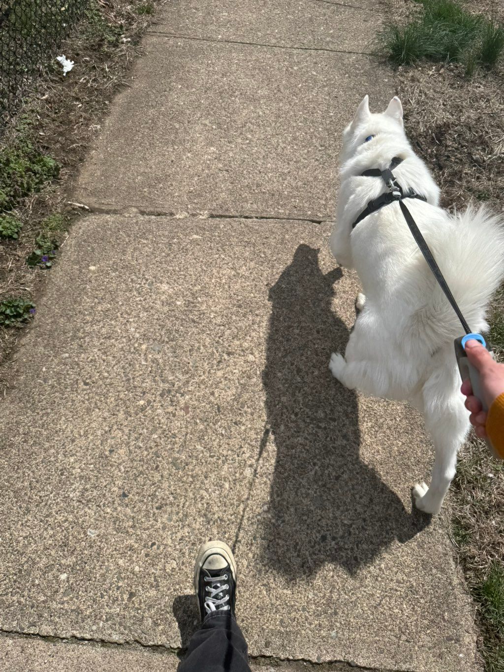 mid day adventure 