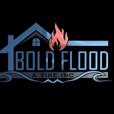 Avatar for Bold flood and fire