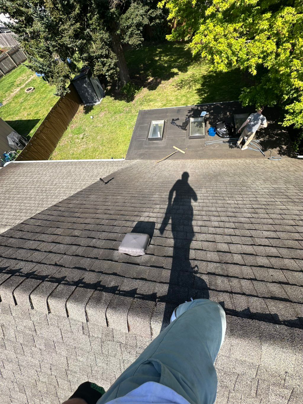 Customer photos