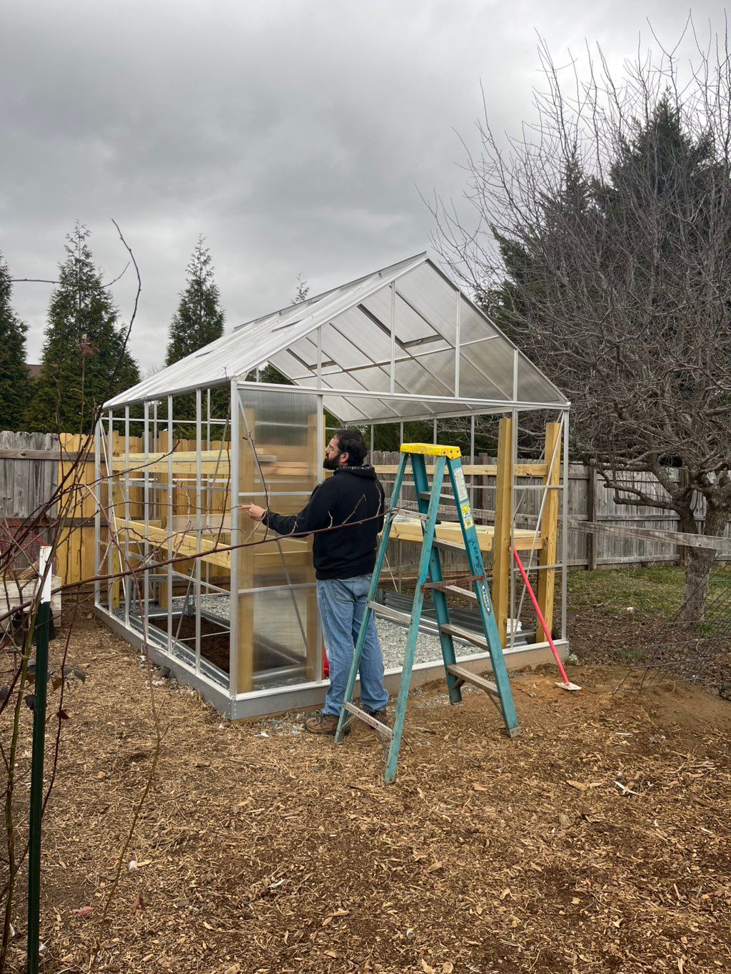 Projects and media