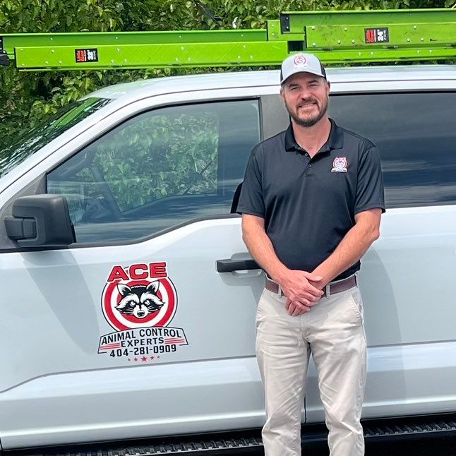 ACE Wildlife Service