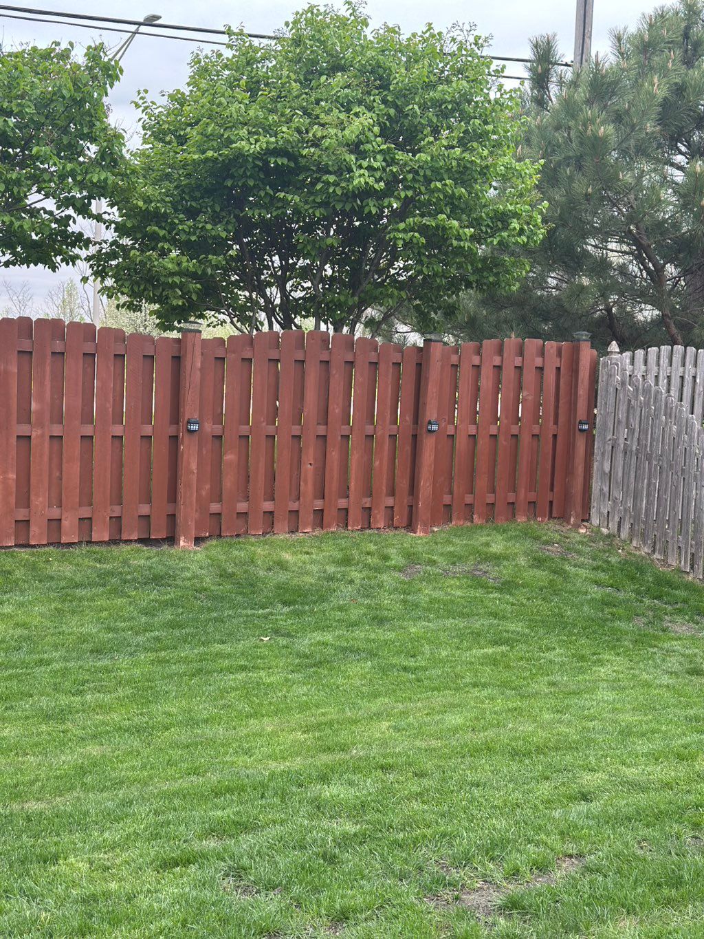 Customer photos