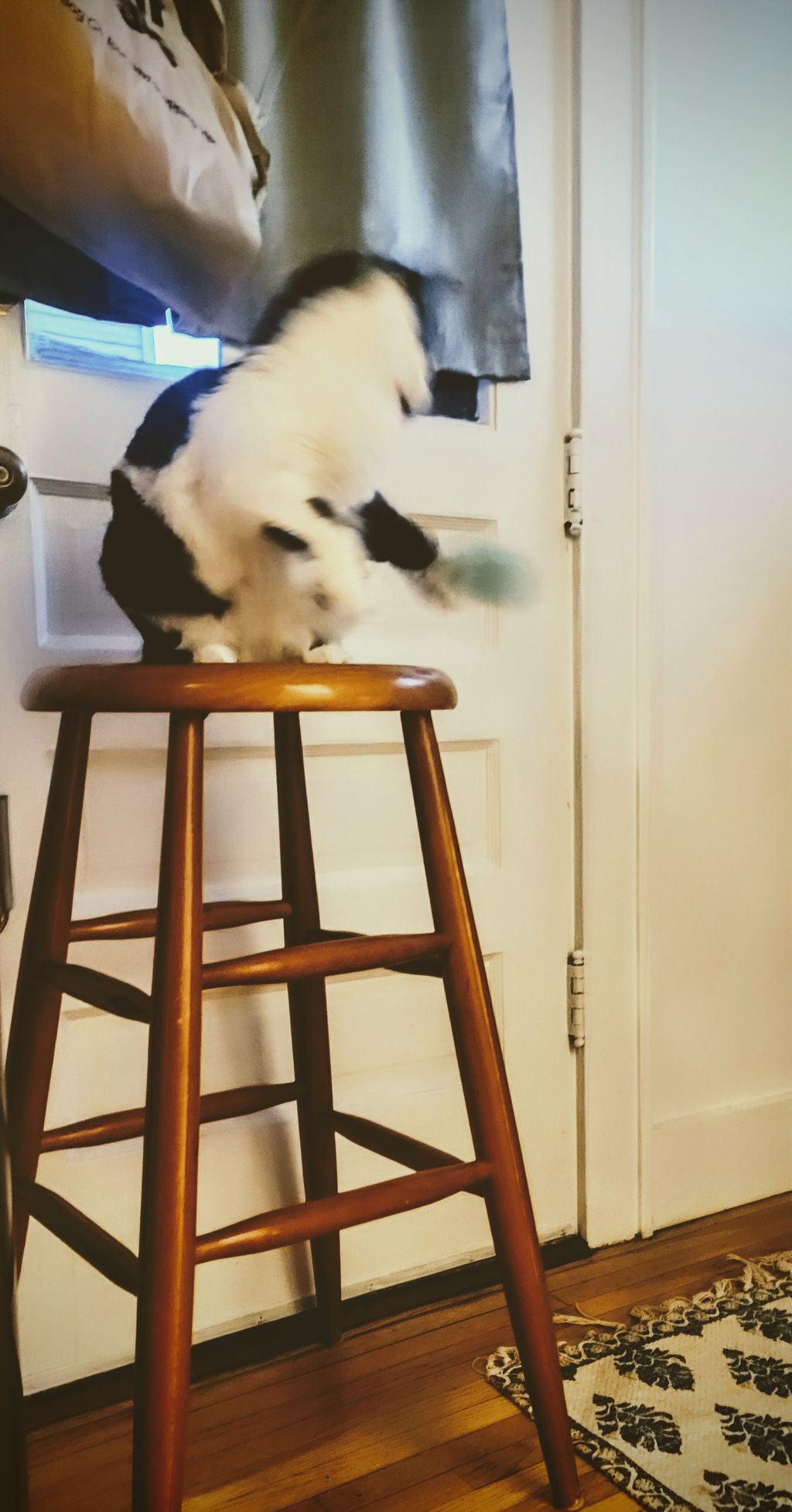 She hits it out of the Ballpark! 