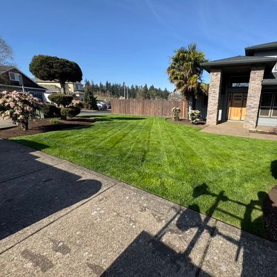 Avatar for Flores landscaping