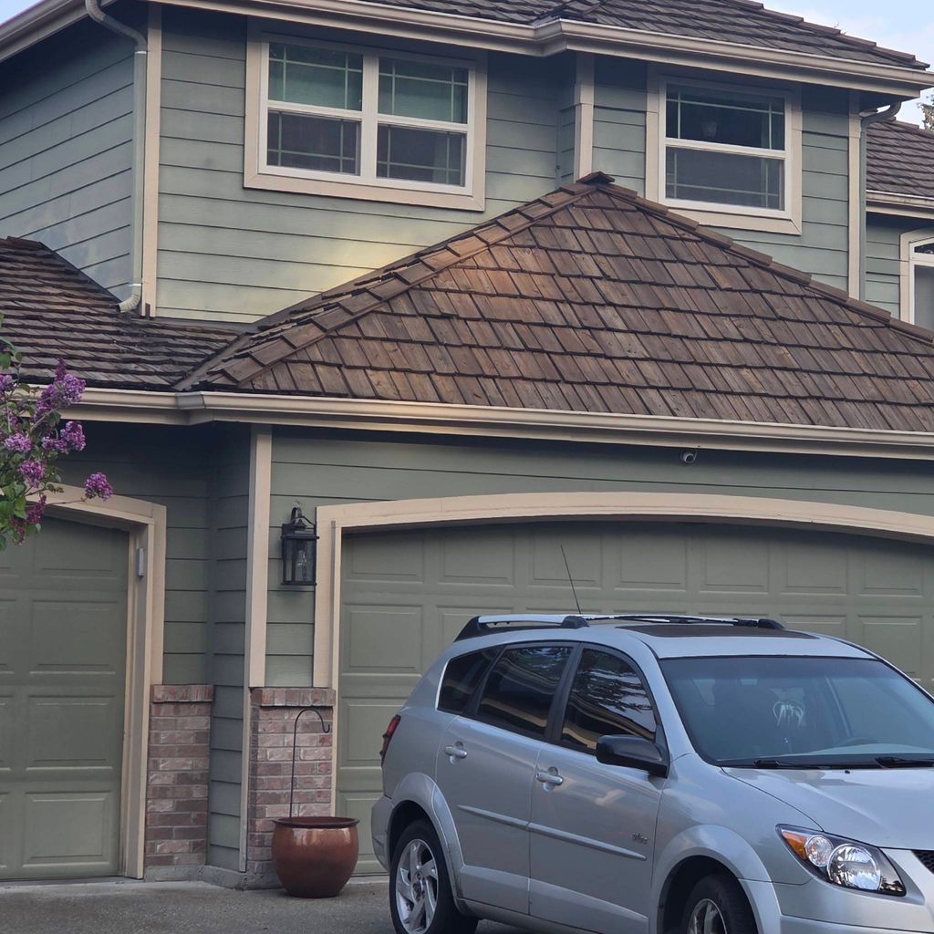 alliance pro painting llc