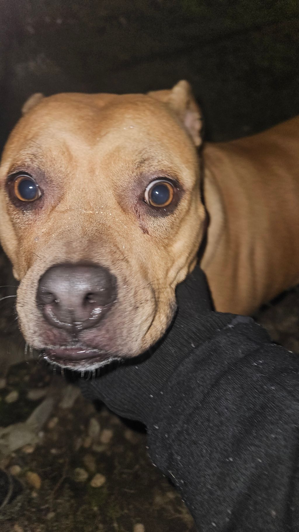 Where are the treats?! Lol Missy
