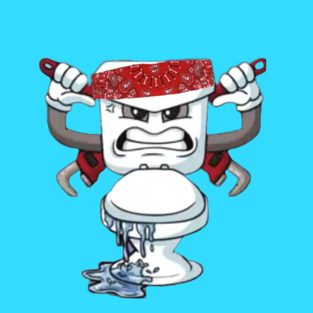 Drain Gang Plumbing