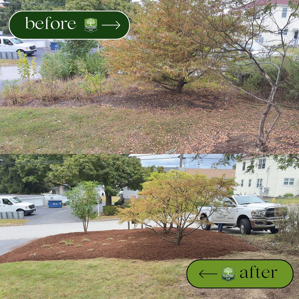 Before & After 