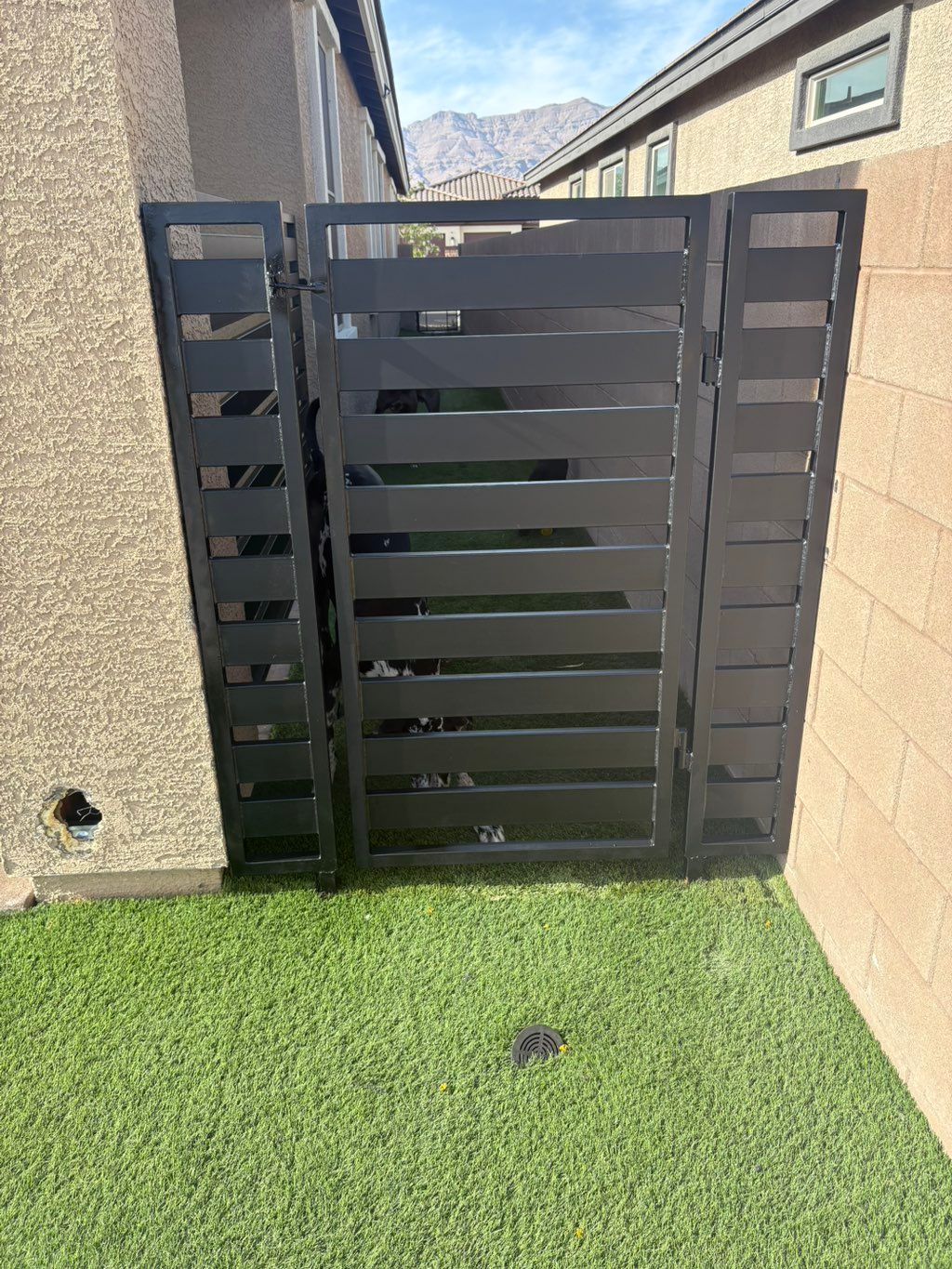 Customer photos