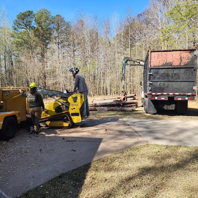 Avatar for Campbell's Tree Service